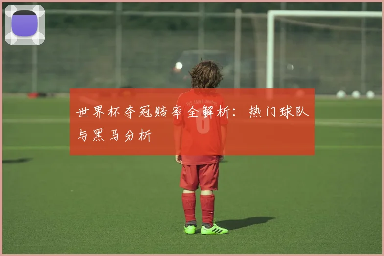 世界杯夺冠赔率全解析：热门球队与黑马分析