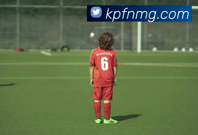 熊猫体育中国官方网站发展历程